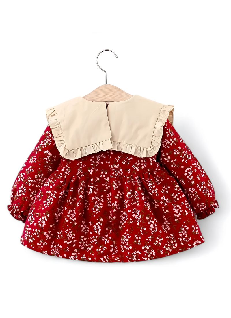 Baby Girl Long Sleeve Printed Princess Dress β Spring & Autumn